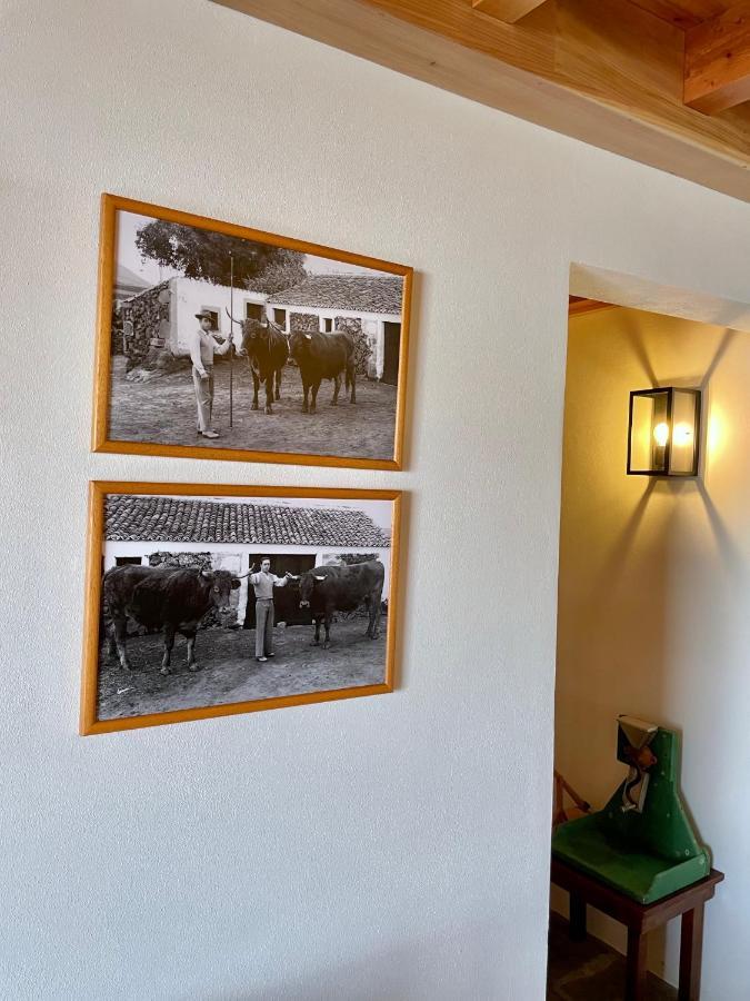 Vila Casa Do Avo Jose Alves Praia da Vitória Exteriér fotografie
